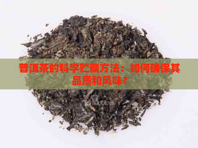 普洱茶的科学贮藏方法：如何确保其品质和风味？