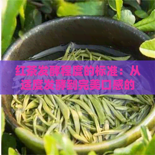 红茶发酵程度的标准：从适度发酵到完美口感的掌握