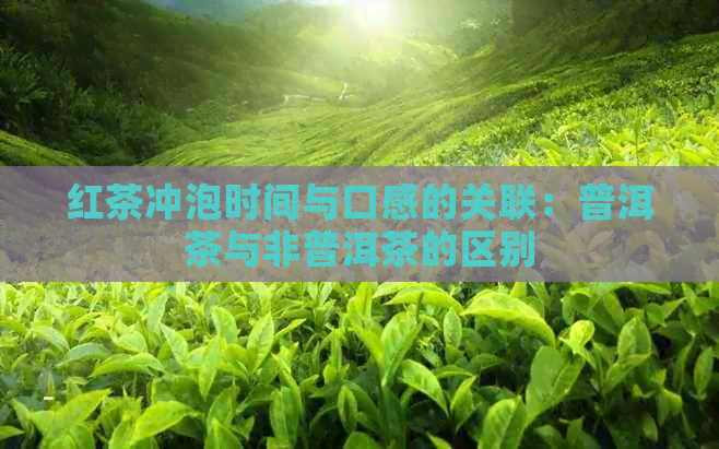 红茶冲泡时间与口感的关联：普洱茶与非普洱茶的区别