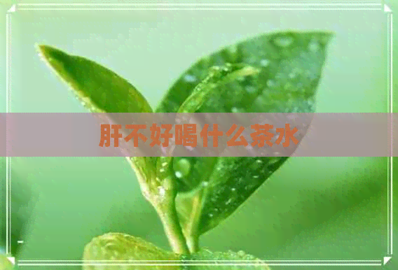 肝不好喝什么茶水