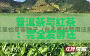 普洱茶与红茶：完全发酵还是半发酵？揭秘两种茶叶的不同工艺