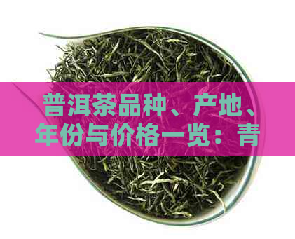 普洱茶品种、产地、年份与价格一览：青海古树普洱茶全方位解析