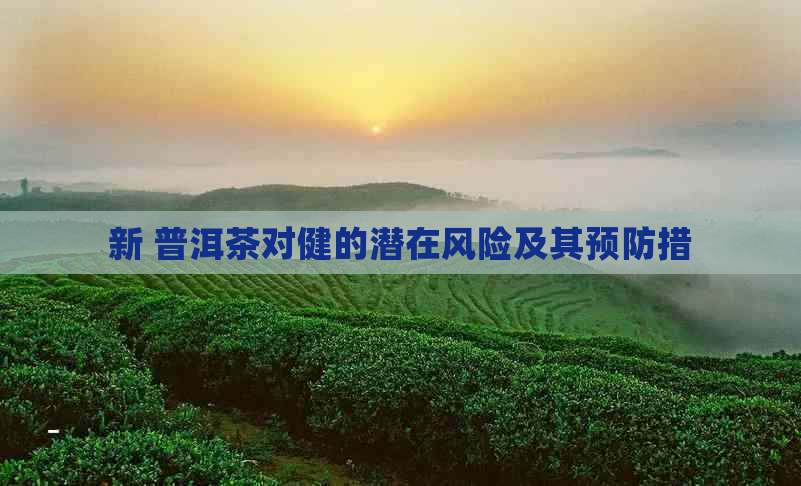 新 普洱茶对健的潜在风险及其预防措