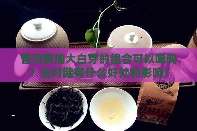 普洱茶加大白芽的组合可以喝吗？这对健有什么好处和影响？