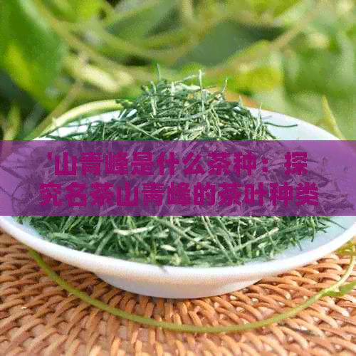 '山青峰是什么茶种：探究名茶山青峰的茶叶种类与品质'