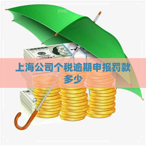 上海公司个税逾期申报罚款多少