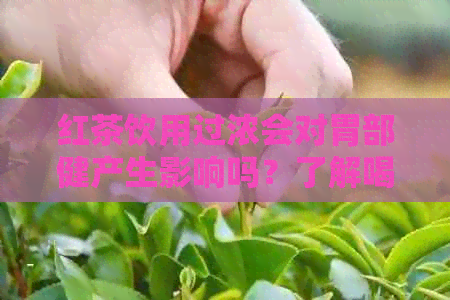 红茶饮用过浓会对胃部健产生影响吗？了解喝红茶的浓度和注意事项