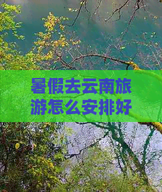 暑假去云南旅游怎么安排好一点呢英文-暑假去云南旅游怎么安排好一点呢英文翻译