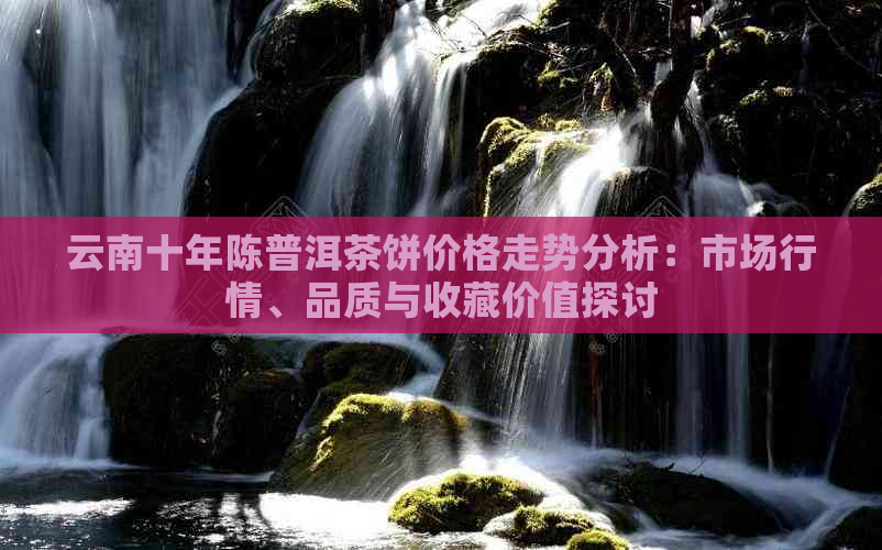 云南十年陈普洱茶饼价格走势分析：市场行情、品质与收藏价值探讨