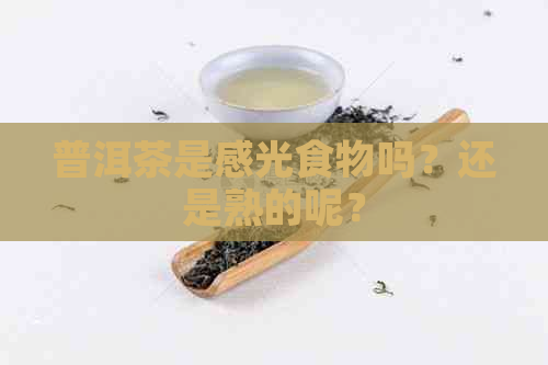 普洱茶是感光食物吗？还是熟的呢？