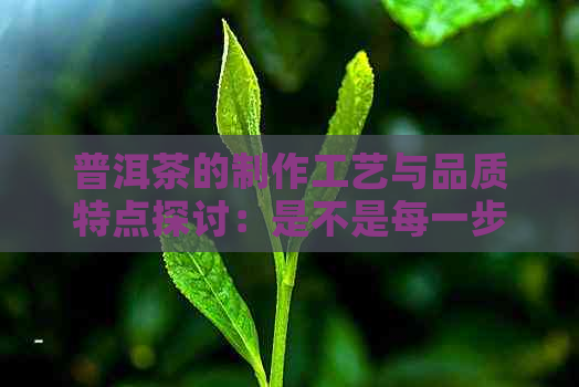 普洱茶的制作工艺与品质特点探讨：是不是每一步都至关重要？