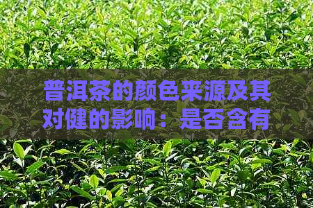 普洱茶的颜色来源及其对健的影响：是否含有色素？