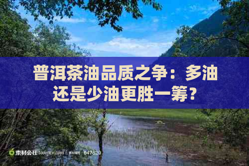 普洱茶油品质之争：多油还是少油更胜一筹？