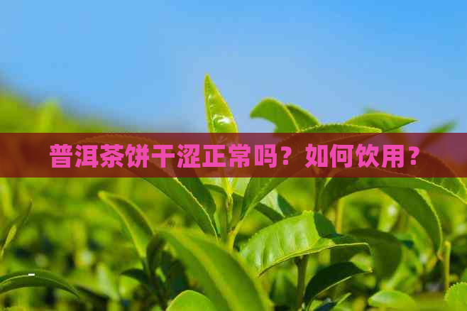 普洱茶饼干涩正常吗？如何饮用？