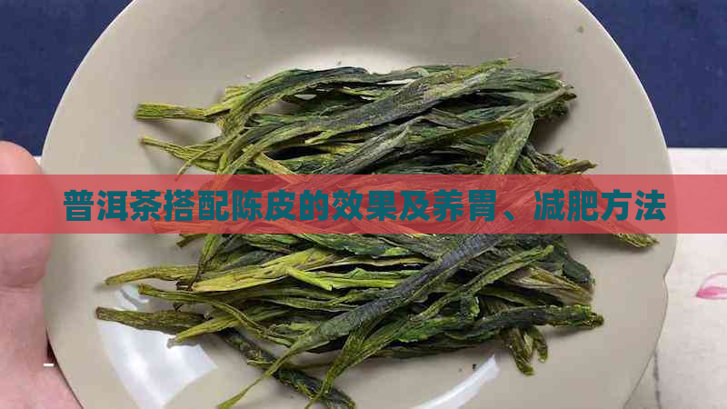 普洱茶搭配陈皮的效果及养胃、减肥方法