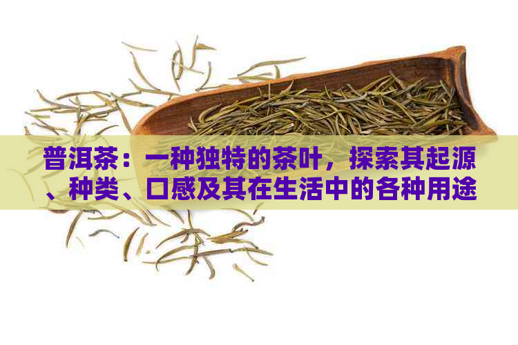 普洱茶：一种独特的茶叶，探索其起源、种类、口感及其在生活中的各种用途