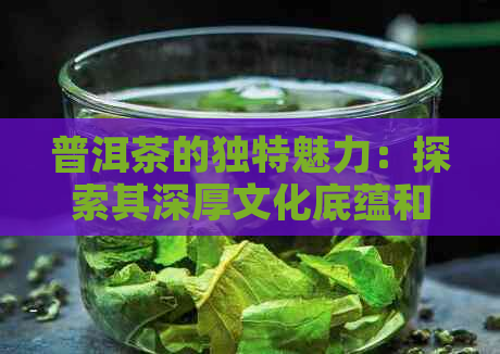 普洱茶的独特魅力：探索其深厚文化底蕴和越品质