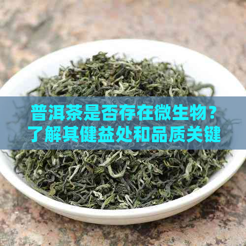 普洱茶是否存在微生物？了解其健益处和品质关键