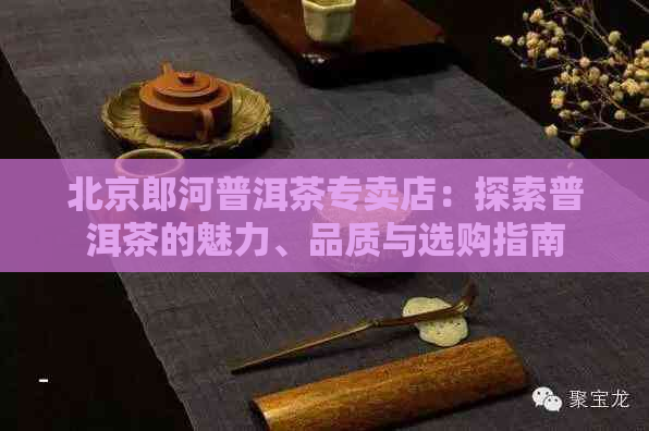 北京郎河普洱茶专卖店：探索普洱茶的魅力、品质与选购指南