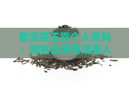 普洱茶王霞个人资料：知名云南普洱茶人王霞及其公司9592价格