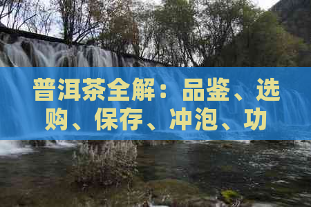 普洱茶全解：品鉴、选购、保存、冲泡、功效与作用一篇搞定！