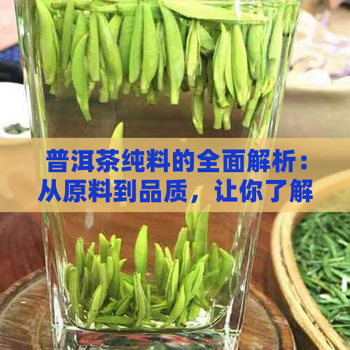 普洱茶纯料的全面解析：从原料到品质，让你了解真正的普洱茶