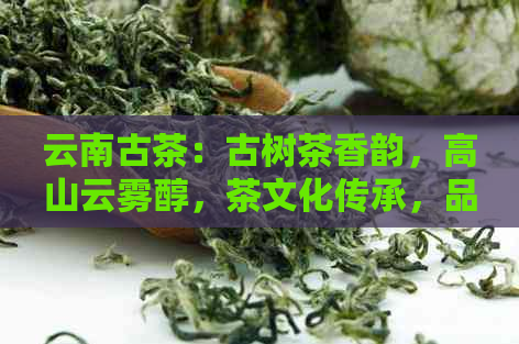 云南古茶：古树茶香韵，高山云雾醇，茶文化传承，品茗养生佳品