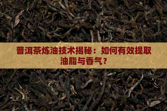 普洱茶炼油技术揭秘：如何有效提取油脂与香气？