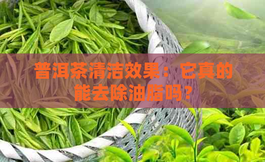 普洱茶清洁效果：它真的能去除油脂吗？