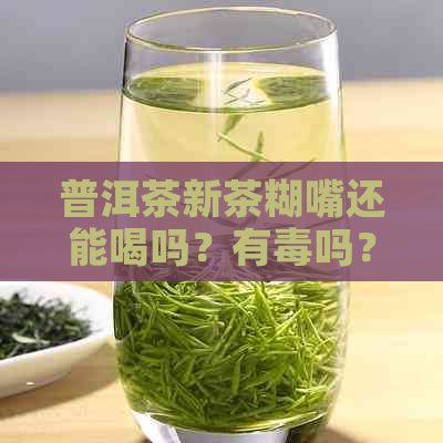 普洱茶新茶糊嘴还能喝吗？有吗？