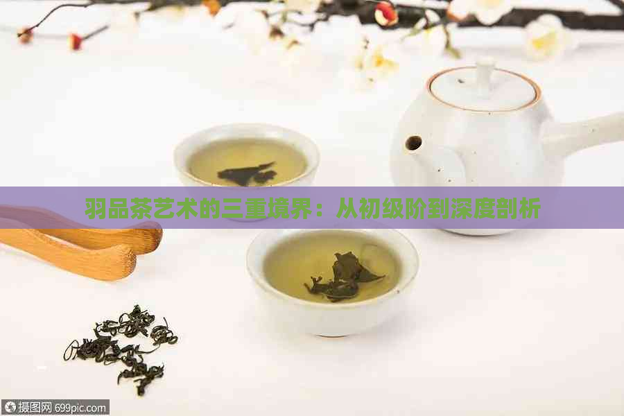 羽品茶艺术的三重境界：从初级阶到深度剖析