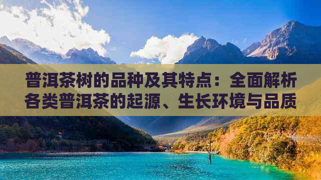 普洱茶树的品种及其特点：全面解析各类普洱茶的起源、生长环境与品质差异