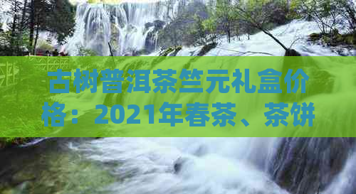 古树普洱茶竺元礼盒价格：2021年春茶、茶饼与yx-03的价格