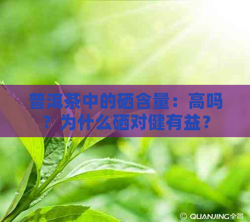 普洱茶中的硒含量：高吗？为什么硒对健有益？