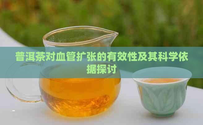 普洱茶对血管扩张的有效性及其科学依据探讨