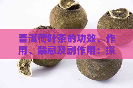 普洱荷叶茶的功效、作用、禁忌及副作用：探讨其全面影响