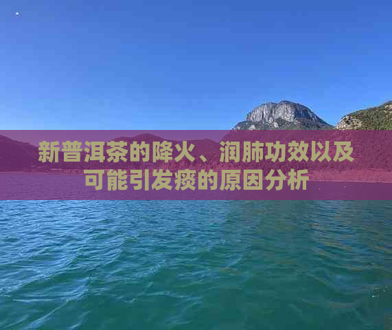 新普洱茶的降火、润肺功效以及可能引发痰的原因分析