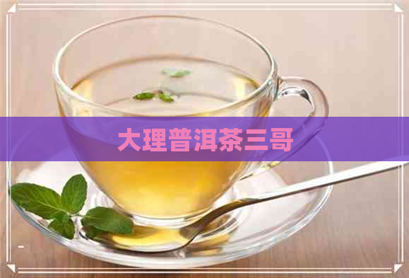 大理普洱茶三哥