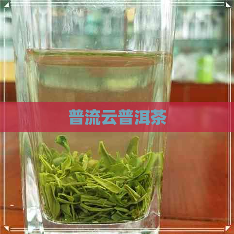 普流云普洱茶