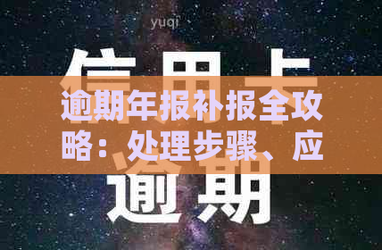 逾期年报补报全攻略：处理步骤、应对策略与常见风险