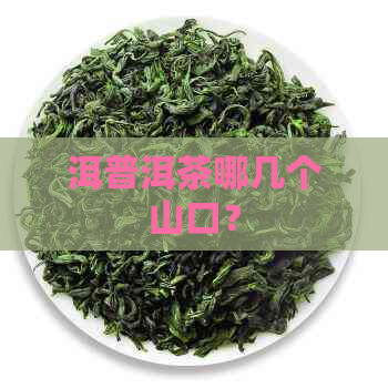 洱普洱茶哪几个山口？