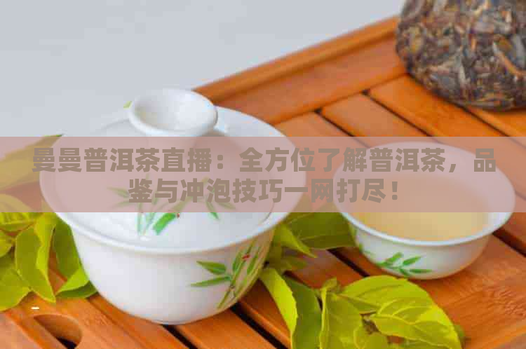 曼曼普洱茶直播：全方位了解普洱茶，品鉴与冲泡技巧一网打尽！