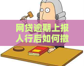 网贷逾期上报人行后如何撤销？申请流程及注意事项全解析