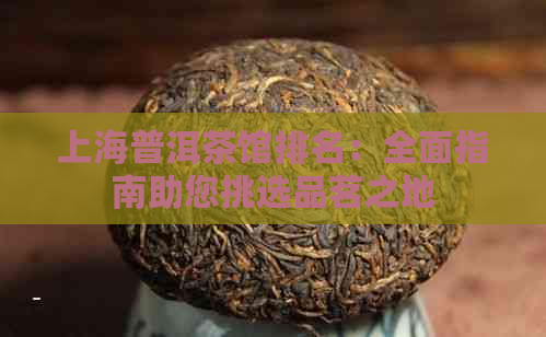 上海普洱茶馆排名：全面指南助您挑选品茗之地