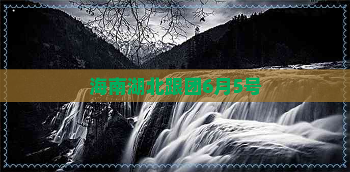 海南湖北跟团6月5号