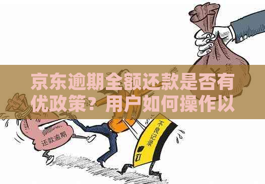 京东逾期全额还款是否有优政策？用户如何操作以享受折扣？