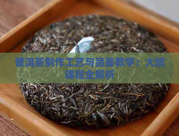 普洱茶制作工艺与品鉴教学：大班课程全解析