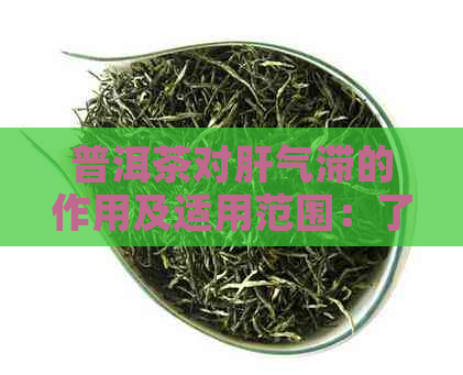 普洱茶对肝气滞的作用及适用范围：了解其疗效和注意事项