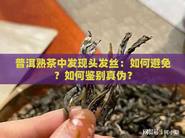 普洱熟茶中发现头发丝：如何避免？如何鉴别真伪？