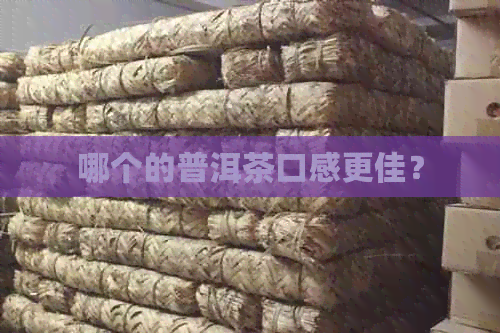 哪个的普洱茶口感更佳？